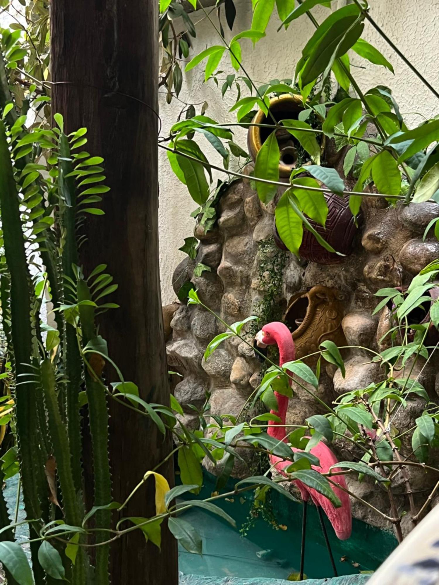 Hostal Kaia Santa Marta  Ngoại thất bức ảnh