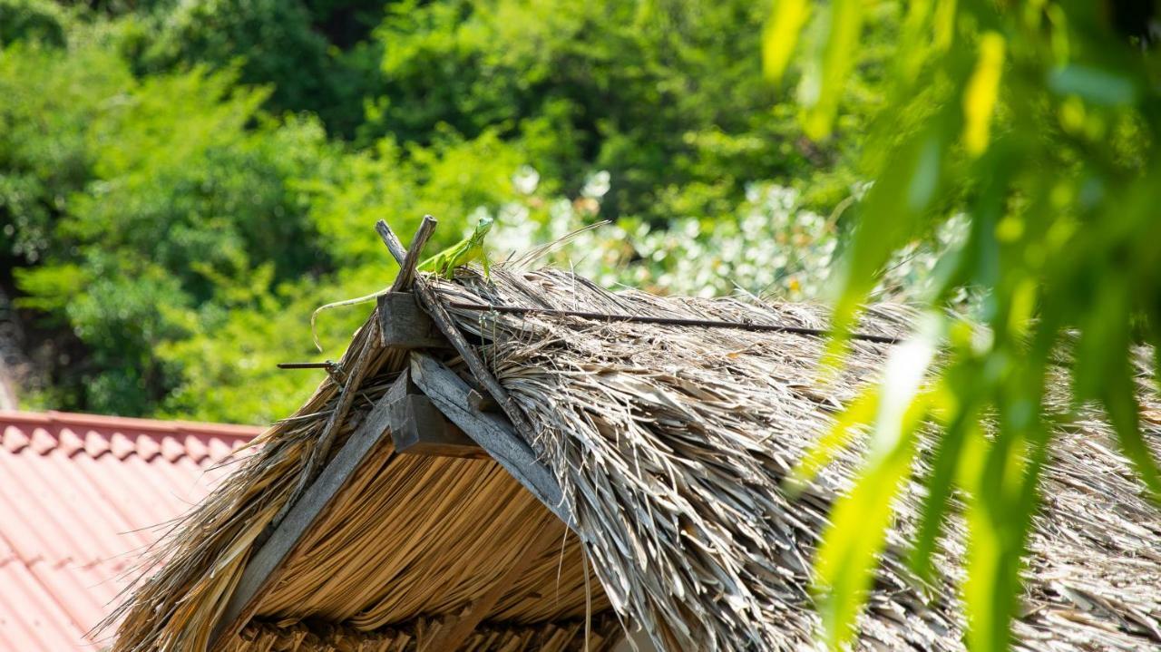 Hostal Kaia Santa Marta  Ngoại thất bức ảnh